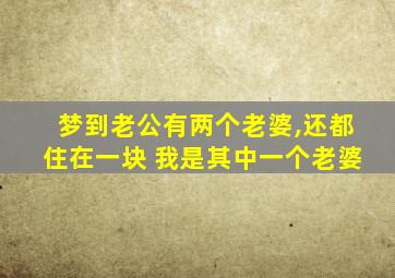 梦到老公有两个老婆,还都住在一块 我是其中一个老婆